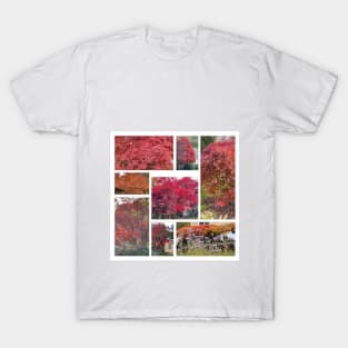 Foliage Collage T-Shirt